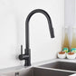 Robinet Cuisine Calyos – Noir Mat avec Douchette Rétractable à Deux Modes